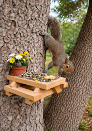 Tuintafeltje Polyresin voor Eekhoorn en of Vogels