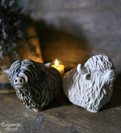 Set van 2 Schotse Hooglanders | Taupe