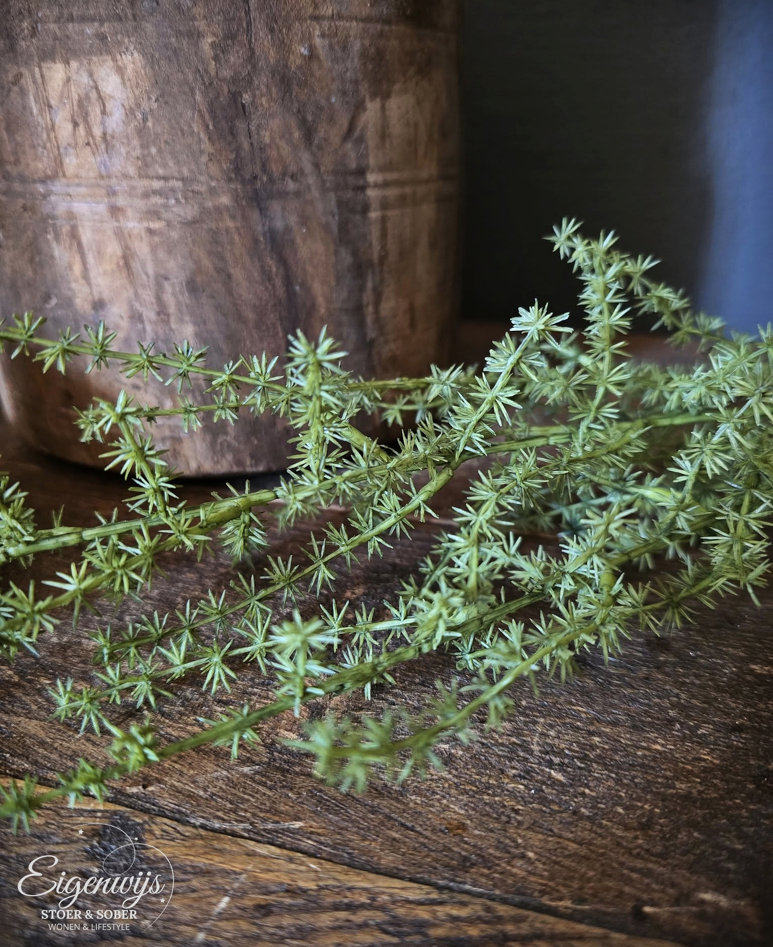 Kunst Tak Asparagus | 73 cm
