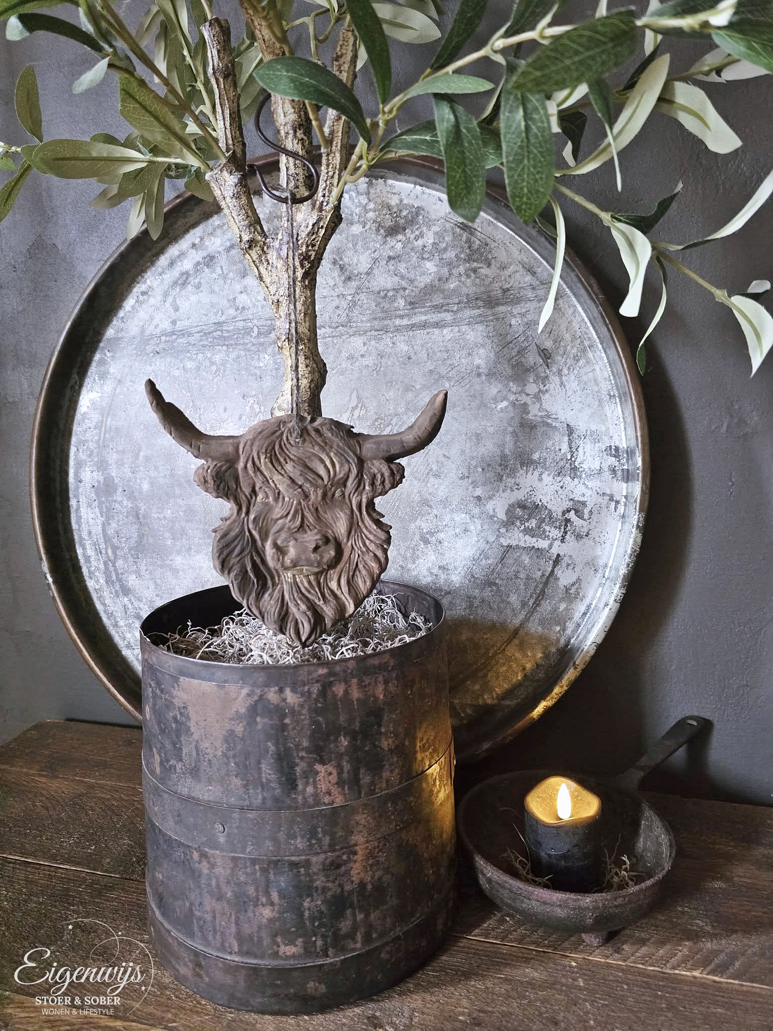 Hanger Schotse Hooglander