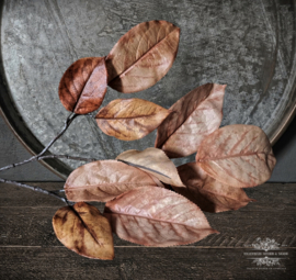 Kunst Herfsttak "Morus" Licht Bruin