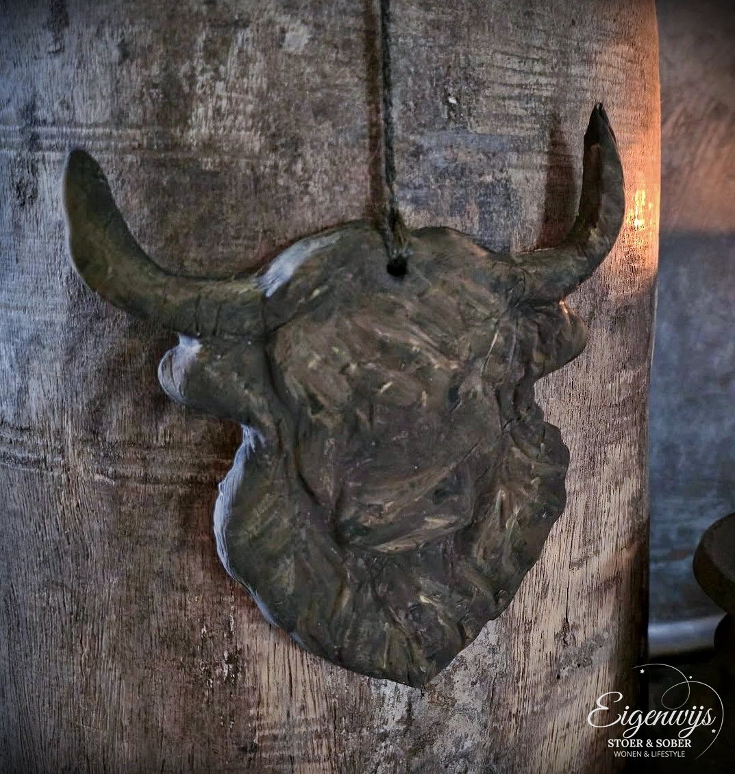 Hanger Schotse Hooglander
