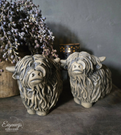 Set van 2 Schotse Hooglanders
