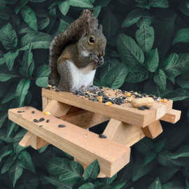 Tuintafeltje Polyresin voor Eekhoorn en of Vogels