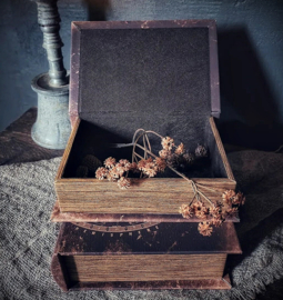 Opbergbox Old Book World