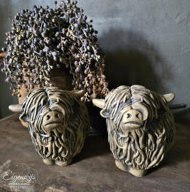 Set van 2 Schotse Hooglanders