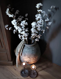 Apple Blossom Cream 100 cm