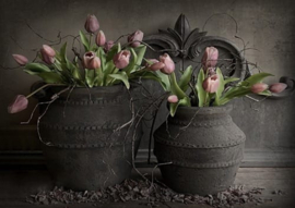 Spatscherm | Potten Roze Tulpen