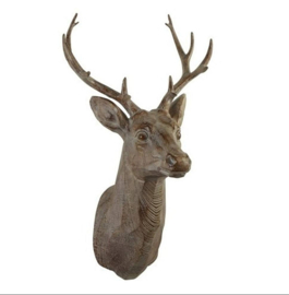 Hert Kop Bonfire Bruin
