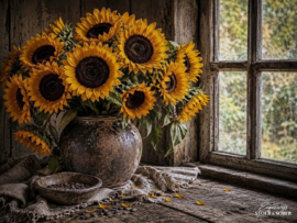 Beschermer | Zonnebloemen