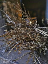 Sobere Kunsttak | Bosje Betula