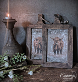 Houten Fotoplank - Lijst | Schotse Hooglander