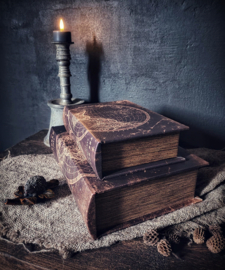 Opbergbox Old Book World