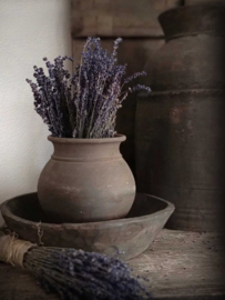 Tuinposter Hout en Lavendel | Houten Lat
