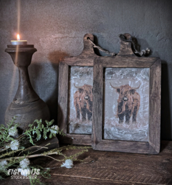 Houten Fotoplank - Lijst | Schotse Hooglander