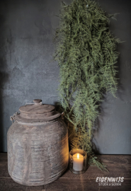 Kunst Toef | Asparagus Groen