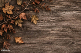 Beschermer | Herfst Bladeren