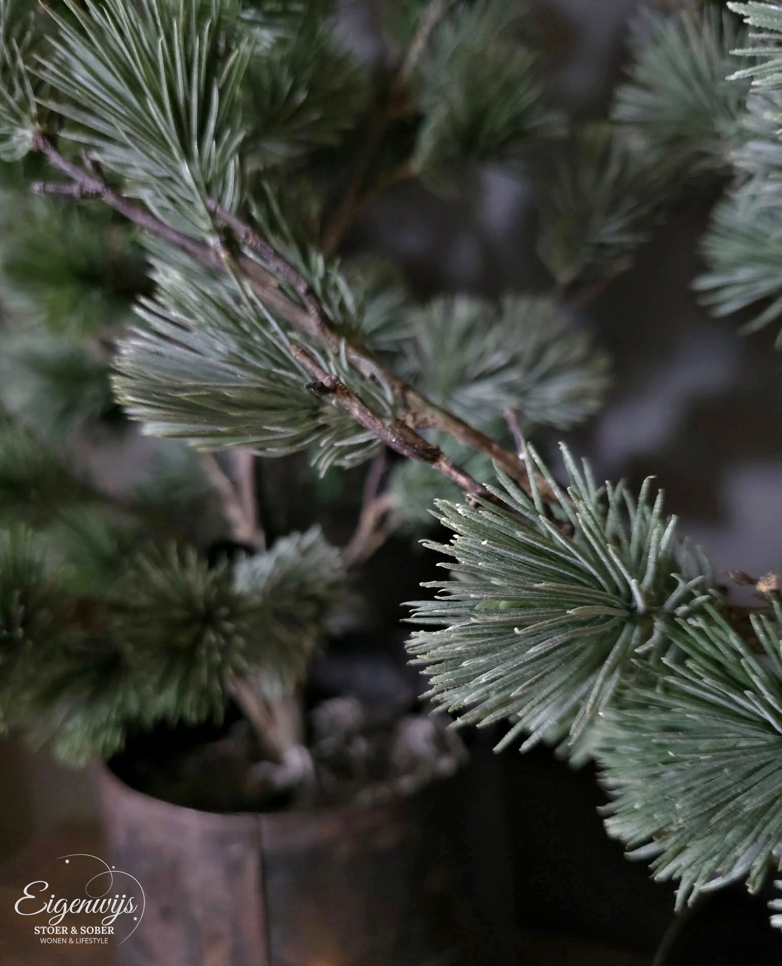 Larix Kunst Boom Real Touch | 80 cm
