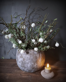 Gemengd Bosje Mimosa Wit | 42 cm