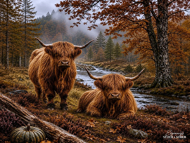 Beschermer | Hooglanders Herfst