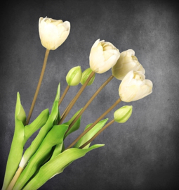 Bosje Kunsttulpen | 7 stelen Wit 44 cm