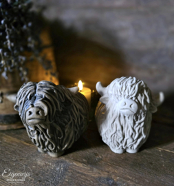 Set van 2 Schotse Hooglanders | Taupe