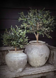 Tuinposter De 2 Potten Olijf | Houten Lat