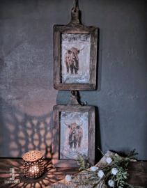 Houten Fotoplank - Lijst | Schotse Hooglander