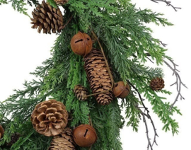 Krans Dennenappel Juniperus