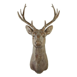 Hert Kop Bonfire Bruin