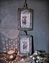 Houten Fotoplank - Lijst | Schotse Hooglander