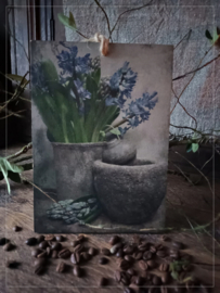 Deco Bordje | Hyacint in Pot