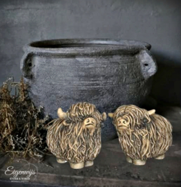 Set van 2 Schotse Hooglanders