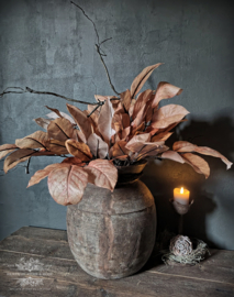 Kunst Herfsttak "Morus" Licht Bruin