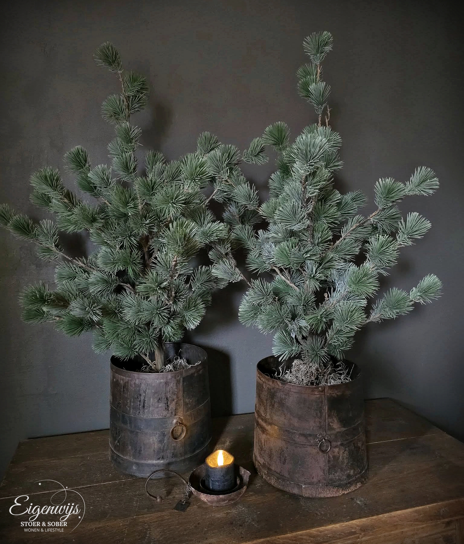 Larix Boom Kunst | Maat S