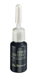 HORSE-CHESTNUT