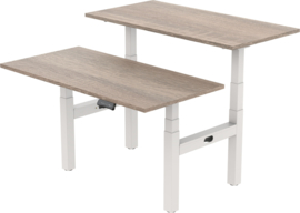 Elektrisch verstelbaar zit-sta bench frame/bureau (4-motorig)