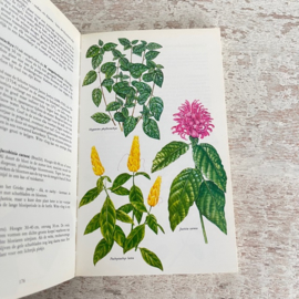 Boek Kleine kamerplanten encyclopedie