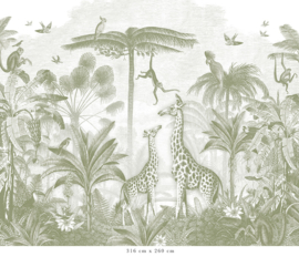 Tweedehandsje | Giraf & slingeraapjes behang | groen - 316b x 290h cm