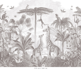Giraffe & Spider Monkeys Wallpaper | Pencil Grey