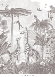 Giraffe & Spider Monkeys Wallpaper | Pencil Grey