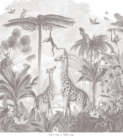 Giraffe & Klammeraffen Tapete | Bleistift Grau