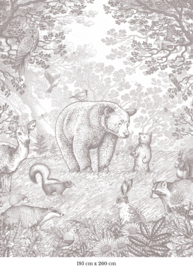 Kleiner Bär Tapete | Bleistift Grau