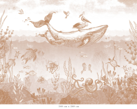 Whale World Wallpaper | Terra Cotta