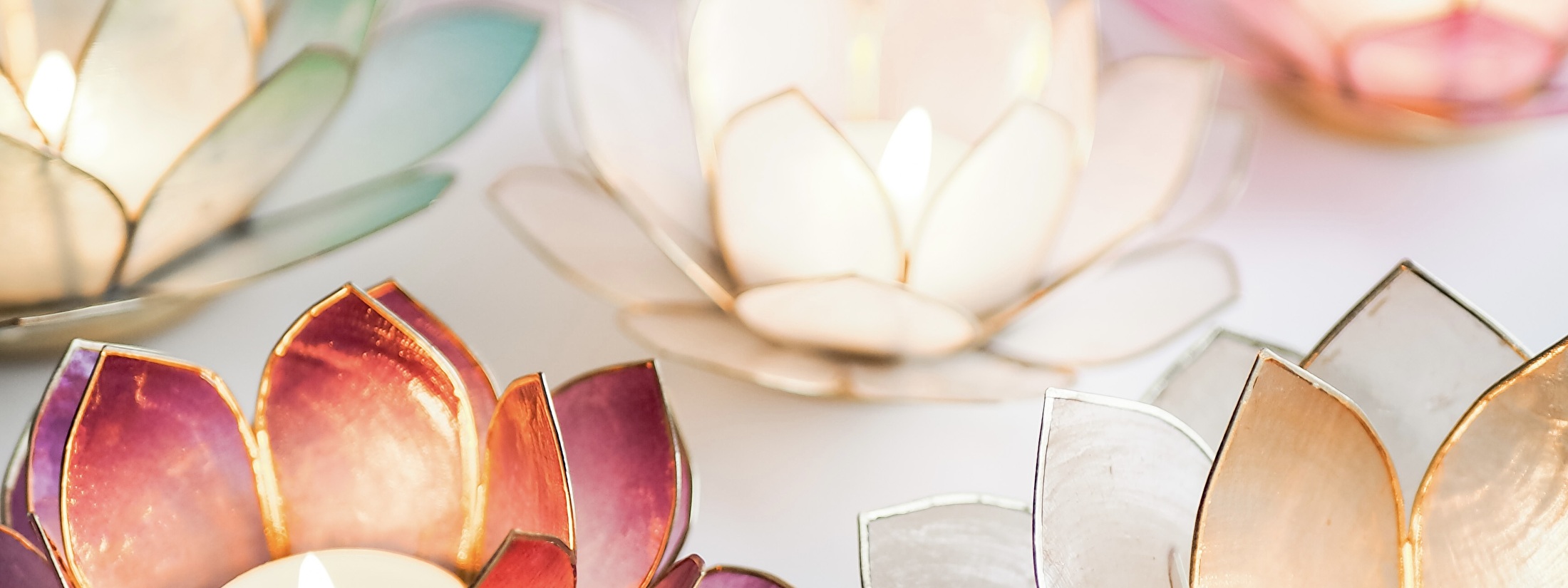 lotus