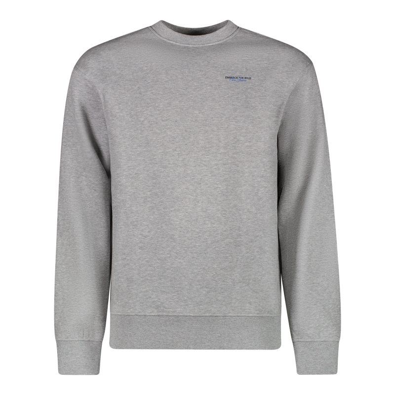 Cars jeans sweater Diso Grey melange