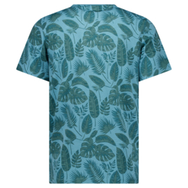 Cars jeans top Tyor Mint