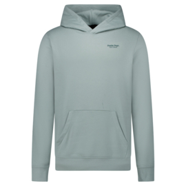 Cars jeans hoodie Tylo Mint