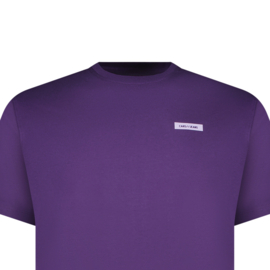 Cars jeans top Werzo purple