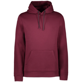 Cars hoodie burgundy